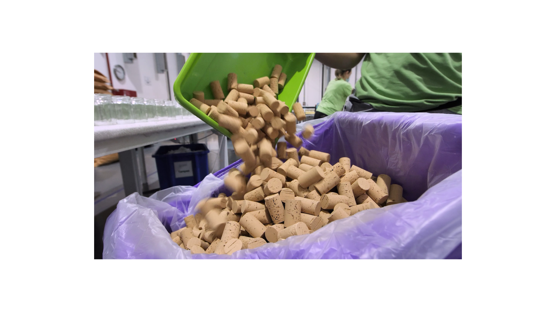 Cork Supply - Vídeo - Normal - LOBA.cx